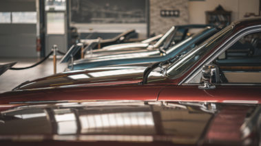 Automobile Vogel Ausstellungsraum